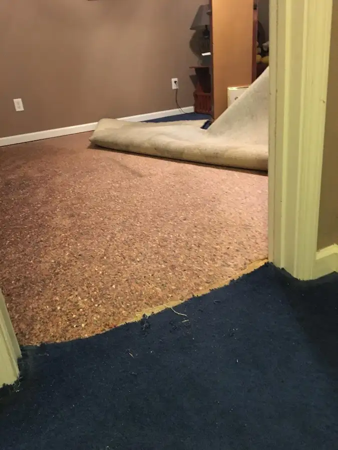 Carpet pad removal revealing water damage during Water Mitigation Services in Southeast Arcadia