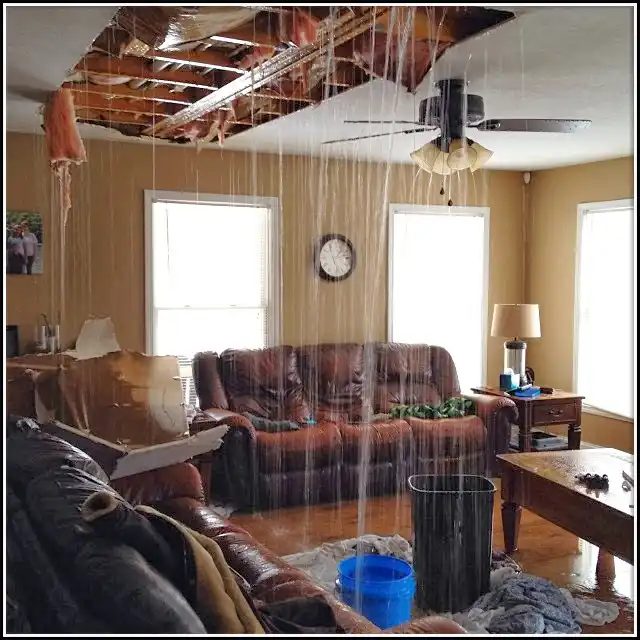 Emergency Water Damage Services in Southeast Arcadia, FL