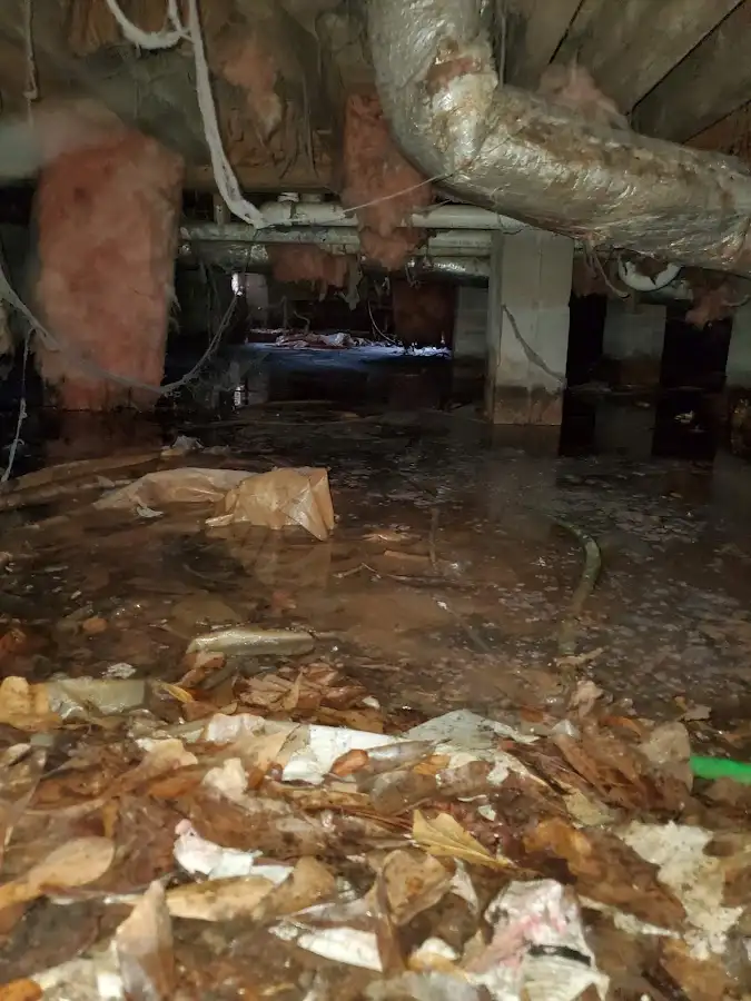 Crawl space flood assessment for Commercial Water Damage Restoration in Southeast Arcadia